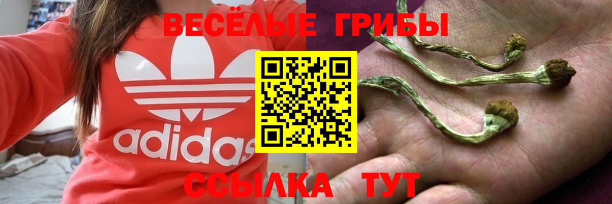 Псилоцибиновые грибы мухоморы Артёмовский