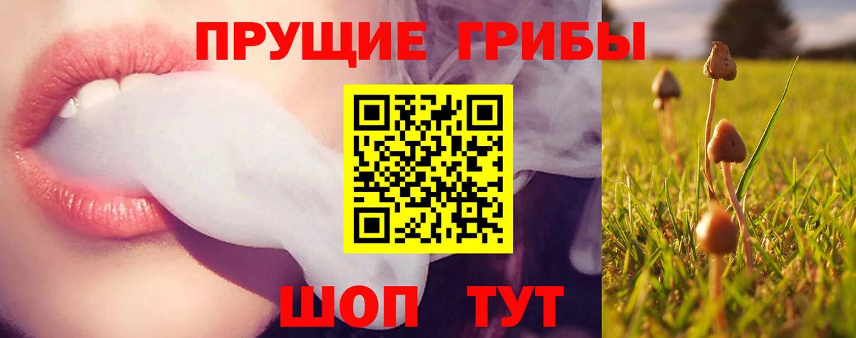 Артёмовский  Псилоцибиновые грибы Magic Shrooms  Псилоцибиновые грибы Magic Shrooms  Вход с VPN 